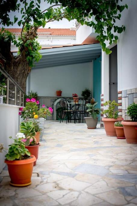 Spacious Apartment In The Heart Of Pythagorion Kültér fotó